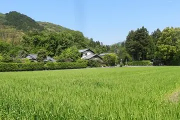 <p>ชมวิวนาข้าวและภูเขา</p>
