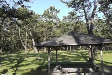 <p>Sometimes in amongst the trees you'll find a lawn, and here a picnic shelter</p>