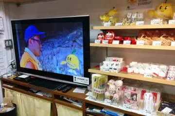 <p>A television and products behind the cash register.&nbsp;</p>