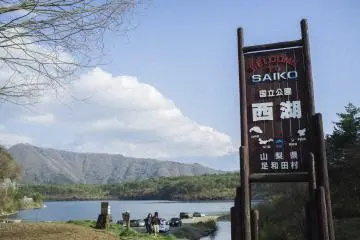 <p>Lake Saiko signage.</p>