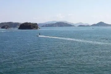 ในทะเลมีเรือวิ่งสวนไปมาอยู่หลายลำ