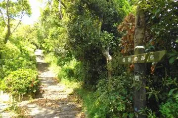 <p>Path leading to the German Soldiers' Memorial Monument</p>