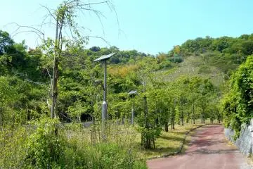 <p>Well-designed and maintained walking path surrounded by lush greenery</p>