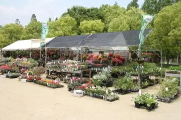 Un kiosque qui vend des fleurs