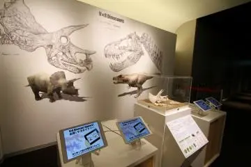 <p>Interactive technology</p>