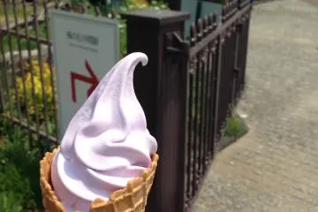 <p>Lavender soft serve ice cream at Kaze&nbsp;no Oka Mid Station. &nbsp;Heaven in a cone</p>