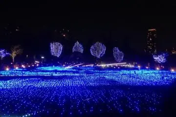 <p>롯본기 일루미네이션</p>