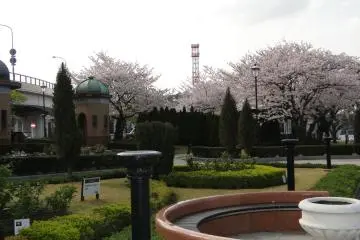 Gallery image