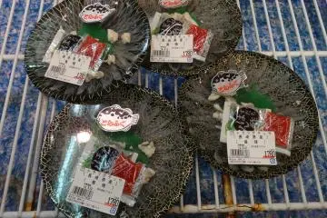 <p>ฟุกุ (Fugu) ปลาปักเป้า</p>