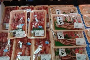 <p>ปลาหมึกชนิดต่างๆ</p>