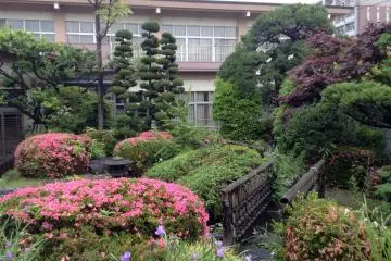 <p>Enjoying temples often means enjoying nature, too. Most temples have well-kept and refreshing gardens</p>