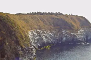 <p>L'&icirc;le de Jogashima</p>