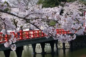 <p>Un pont sur les douves du ch&acirc;teau d'Odawara</p>