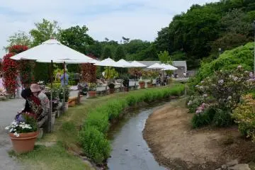 <p>ภายในสวนมีดอกไม้อีกหลายสายพันธุ์</p>