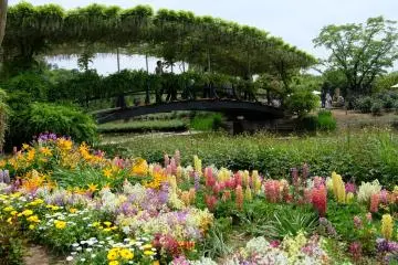 <p>บรรยากาศภายในสวน ทุกมุมล้วนเต็มไปด้วยสีสันของดอกไม้นานาชนิด</p>