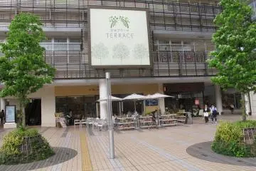 <p>The terrace</p>