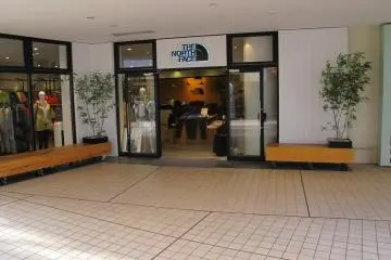 <p>The North Face</p>