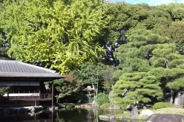 <p>Every part of the garden is in harmony</p>