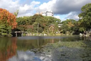 <p>Some trees are evergreen, some display vivid autumn colors</p>