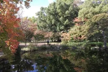 <p>The paths take you round the edges of the ponds</p>