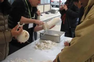 Peel peel peel