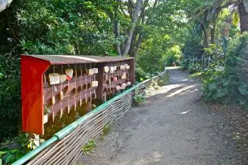 <p>The pathway to&nbsp;Jorakuzan Mantokuji Temple. Entrance fees are 500yen&nbsp;(Adults), 100yen (Children), or 400yen (Seniors).</p>