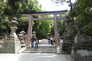 Gallery image