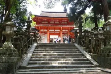 Gallery image
