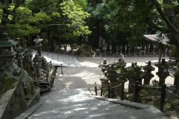 <p>โคมไฟหินเก่าแก่ของศาลเจ้าคะสึกะ ไทฉะ</p>