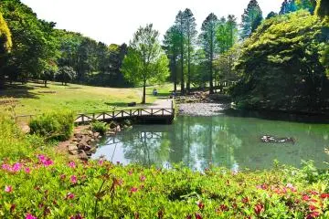 <p>Main pond</p>