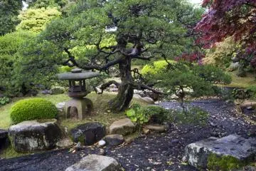 What used to be a river in the garden is now preserved for visitors.