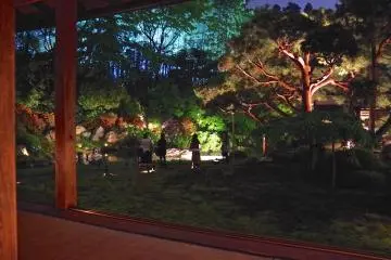 <p>Sitting on the floor, looking over the garden</p>