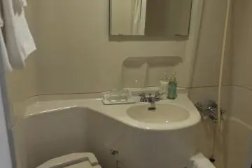 <p>Bathroom with bathtub and automatic toilet</p>