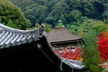 Temple buildings of Kodaiji decorated with red and green leaves (Photo: <a href="https://en.japantravel.com/profile/larry-knipfing/24" target="_blank" rel="noreferrer noopener nofollow">Larry Knipfing</a>)