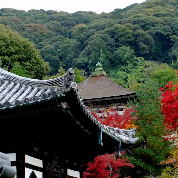 ねねと高台寺: 京都 - Kyoto - Japan Travel