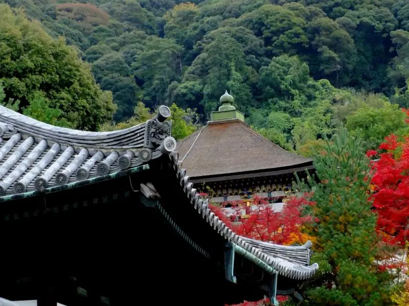 ねねと高台寺: 京都 - 京都 - Japan Travel