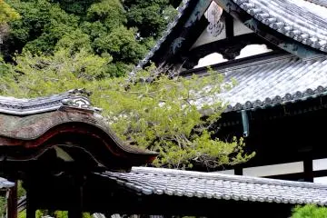 Kaizan-do and Kangetsu-dai (Moon viewing deck) of Kodaiji Temple (Photo: <a href="https://en.japantravel.com/profile/larry-knipfing/24" target="_blank" rel="noreferrer noopener nofollow">Larry Knipfing</a>)