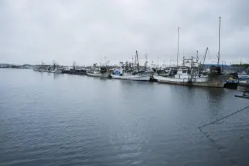 <p>Rows of fishing boats along the port of Sakaiminato.</p>