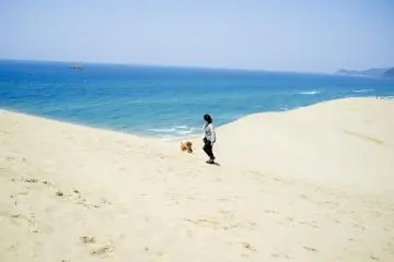 <p>A visitor walking her toy poodle along the vast sand dunes.</p>