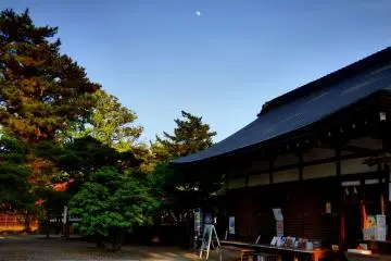 신사실, 지상의 나무들, 하늘의 달