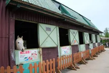 <p>บรรยากาศภายในฟาร์ม</p>