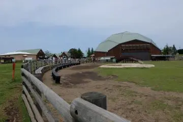<p>บรรยากาศภายในฟาร์ม</p>
