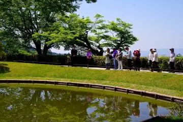 <p>The lake beyond the hedge (and dike)</p>