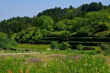<p>There is a man-made lake over the hedge (and dike)</p>