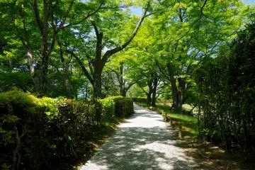 <p>Peaceful path in the garden</p>
