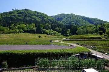 <p>Fields spread out over the grounds of the villa</p>