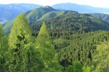 <p>Breathtaking scenery from the summit.</p>