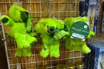 <p>หมีวาซาบิ</p>