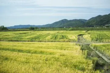 JR West: From Tottori to Fukui