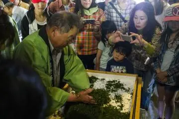 <p>A staff member from the teahouse showing visitors how to massage and dry out the tea leaves to ensure maximum flavour.</p>